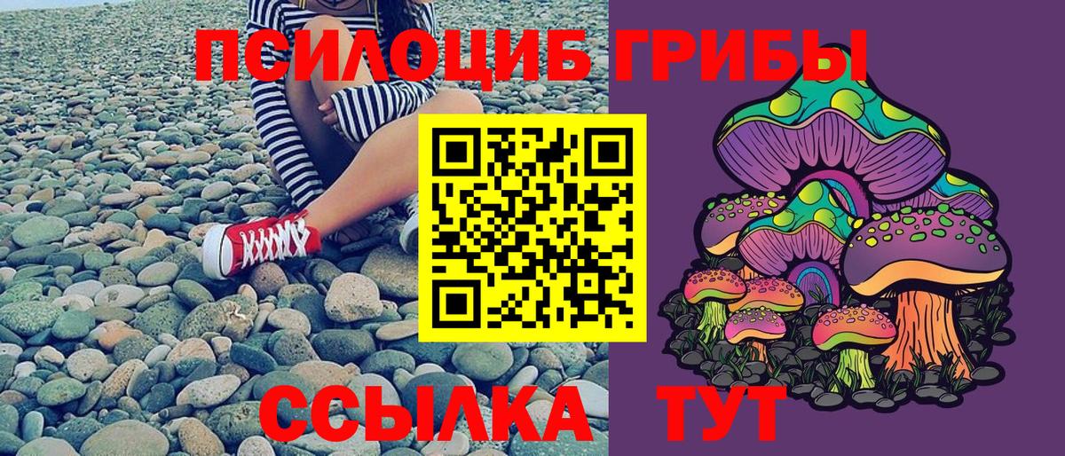Карабулак  Псилоцибиновые грибы Cubensis  Галлюциногенные грибы мухоморы  где купить   Вход с VPN 